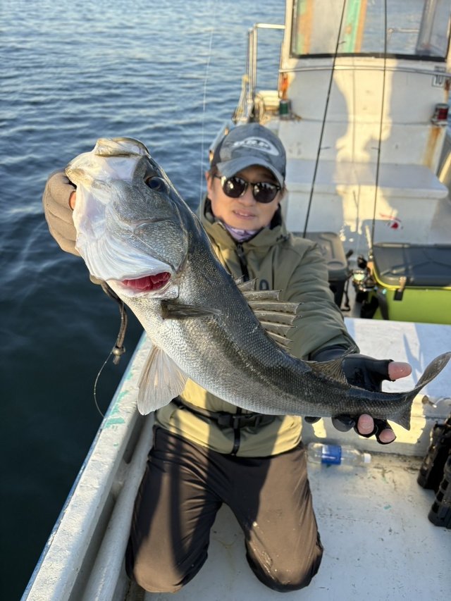 シーバス(スズキ)