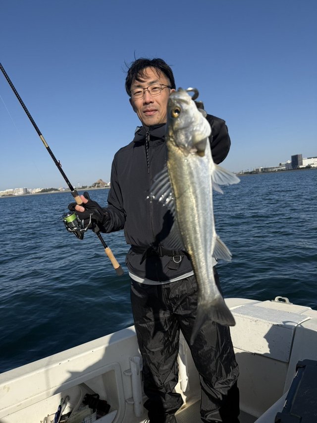 シーバス(スズキ)