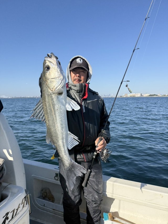 シーバス(スズキ)