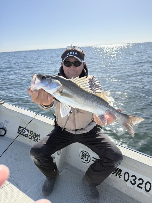 シーバス(スズキ)