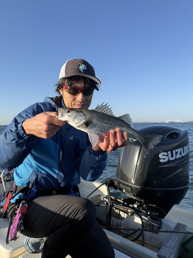 シーバス(スズキ)