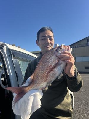 マダイ