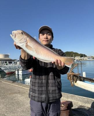 シロアマダイ