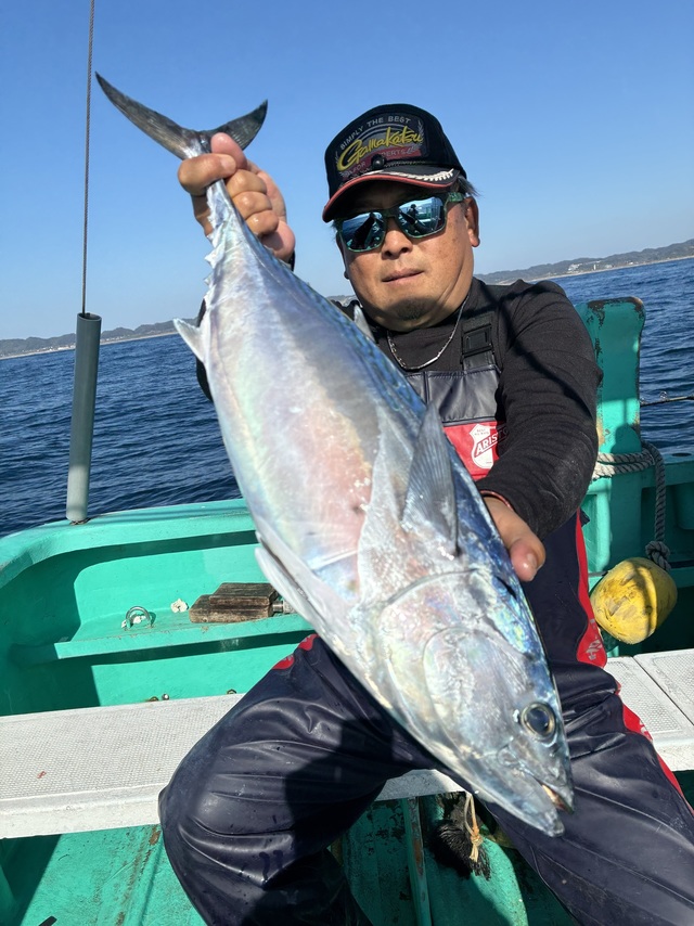 スマガツオ(スマ)