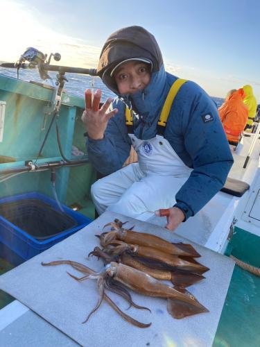 スルメ(スルメイカ)