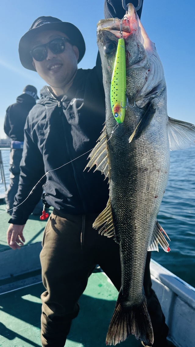 シーバス(スズキ)