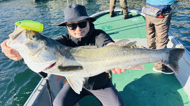 シーバス(スズキ)