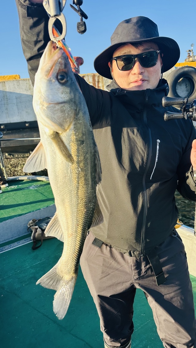 シーバス(スズキ)