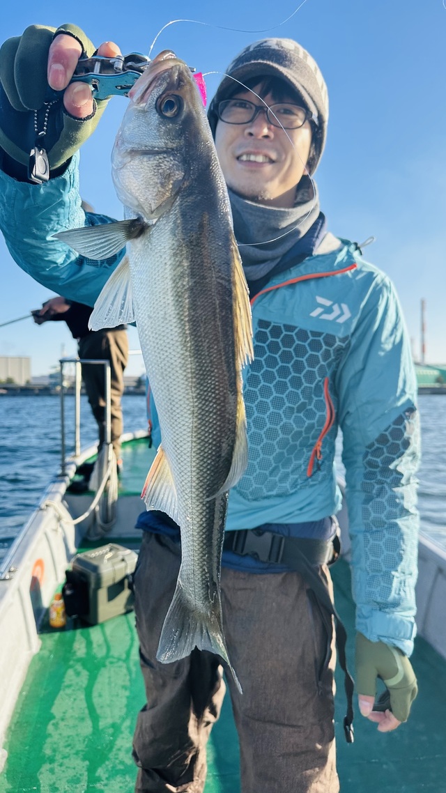 シーバス(スズキ)