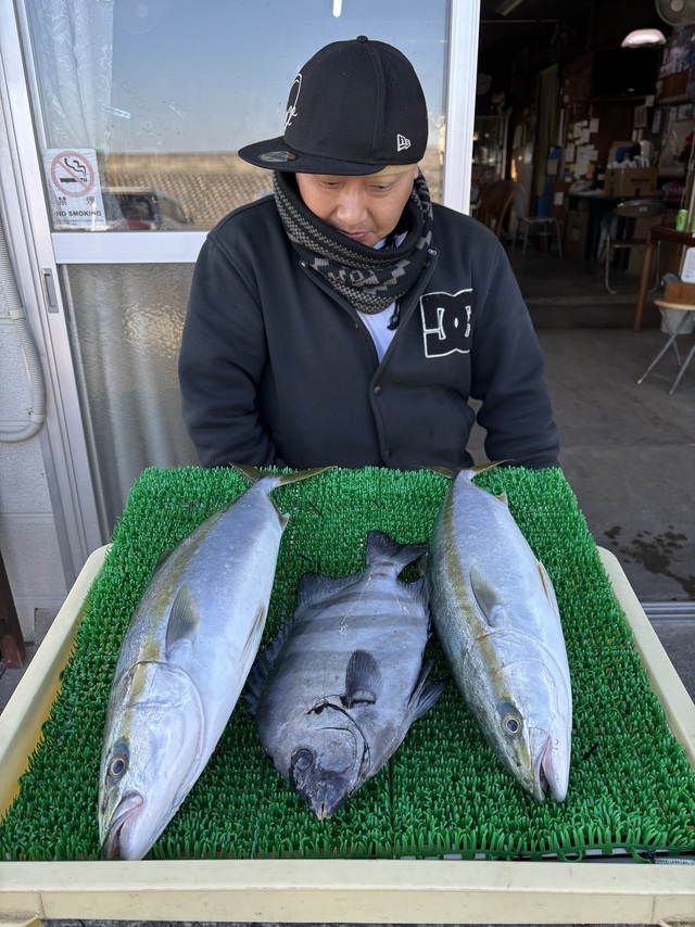イシダイ・イナダ(ブリ)