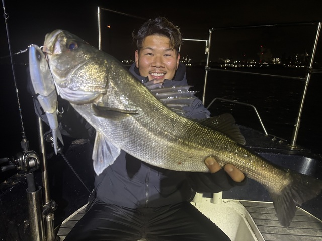 シーバス(スズキ)