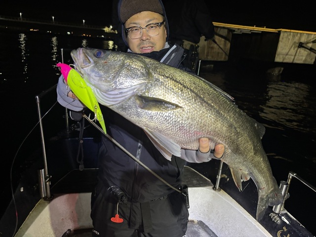 シーバス(スズキ)