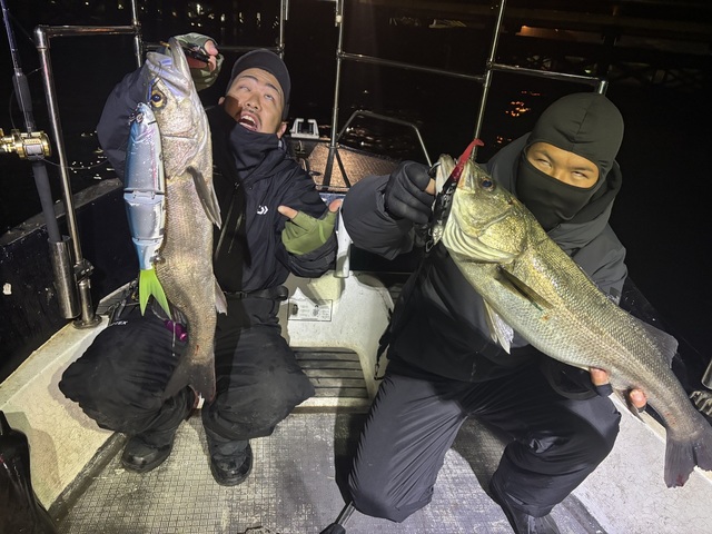 シーバス(スズキ)