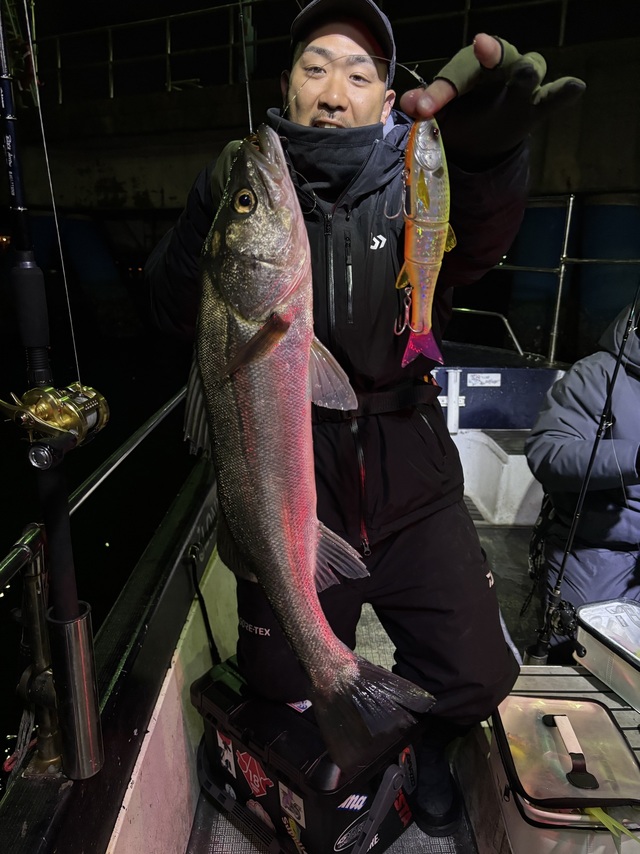 シーバス(スズキ)