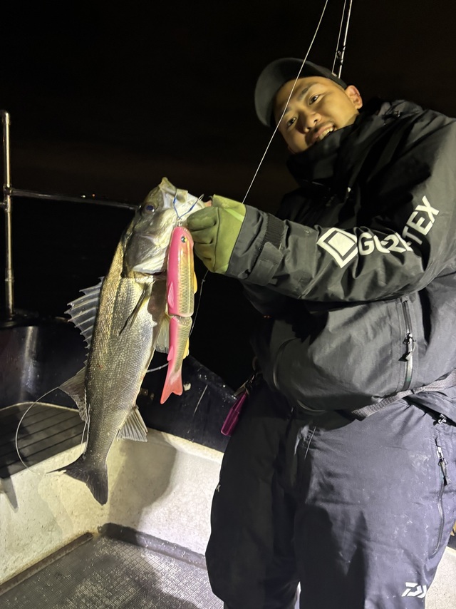 シーバス(スズキ)