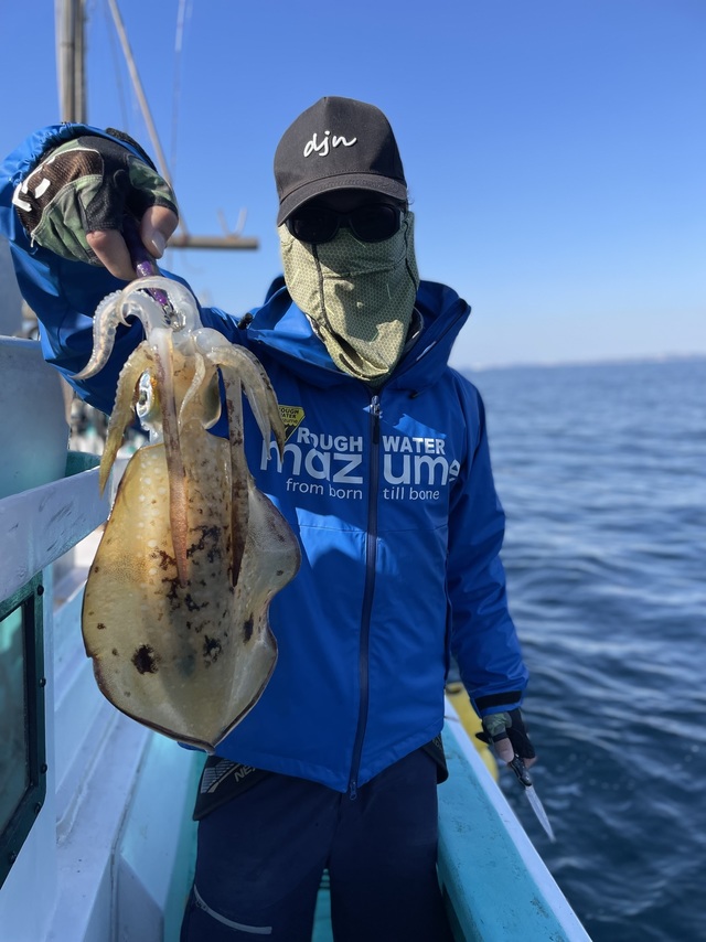 アオリ(アオリイカ)