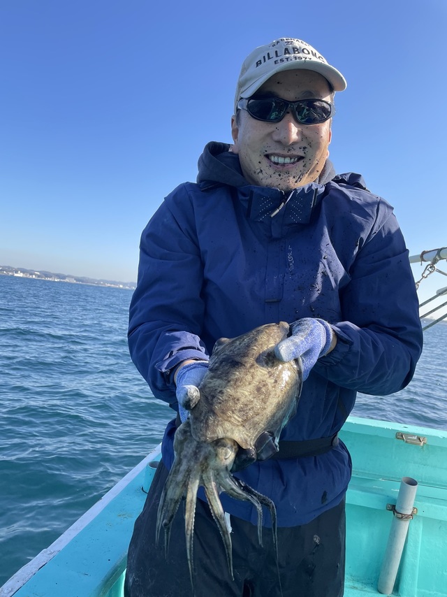 アオリ(アオリイカ)