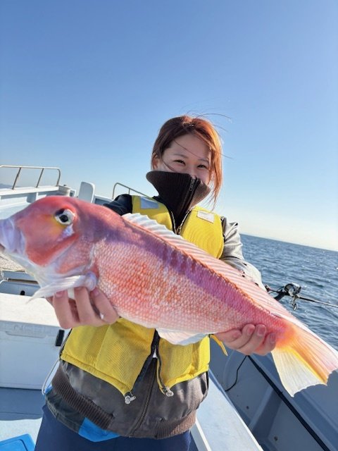 アマダイ(アカアマダイ)