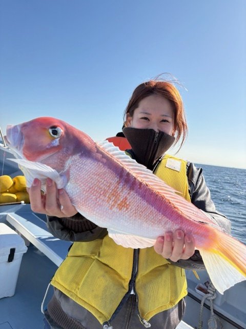 アマダイ(アカアマダイ)