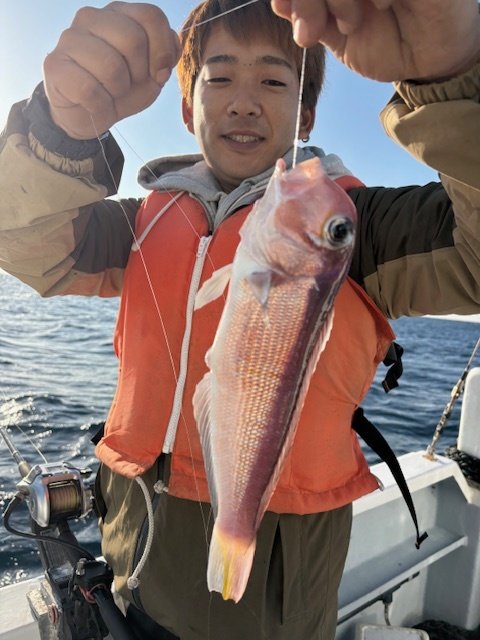 アマダイ(アカアマダイ)