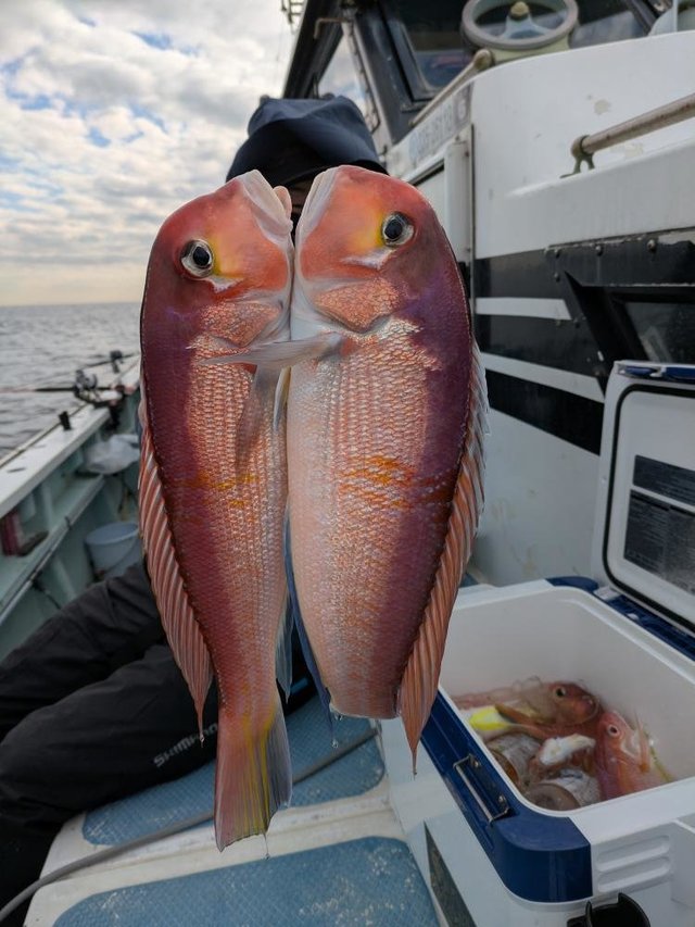 アマダイ(アカアマダイ)