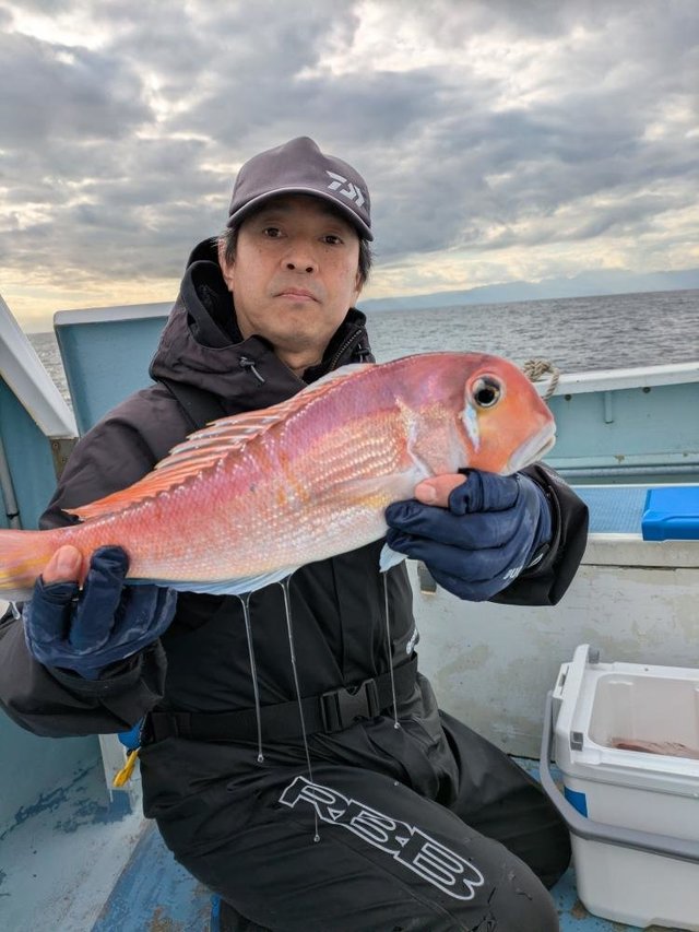 アマダイ(アカアマダイ)