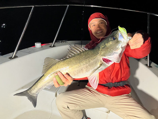 シーバス(スズキ)