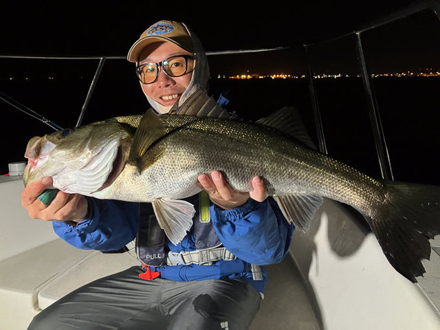 シーバス(スズキ)