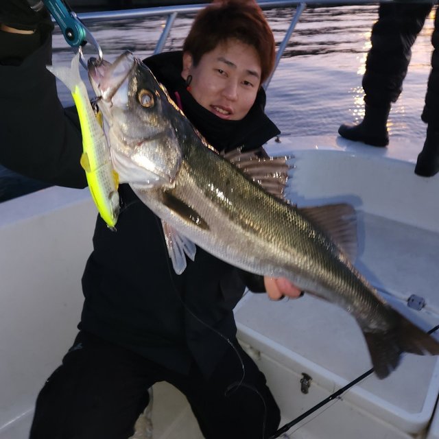 シーバス(スズキ)