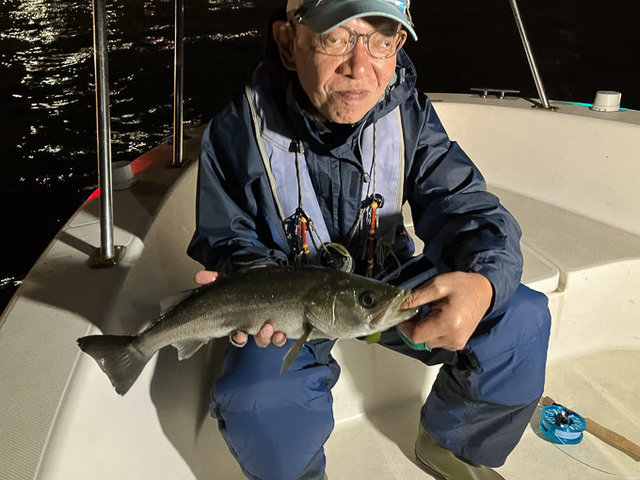 シーバス(スズキ)