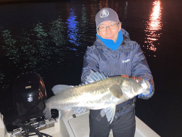 シーバス(スズキ)