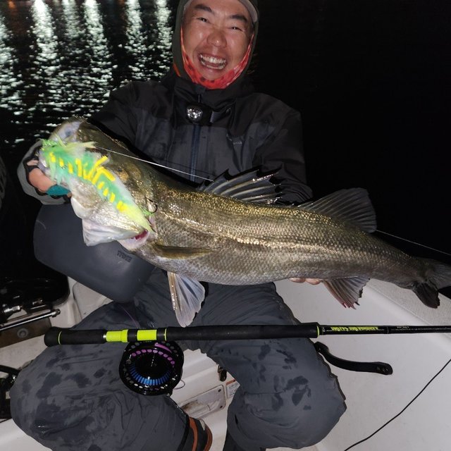 シーバス(スズキ)