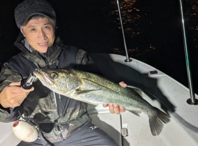 シーバス(スズキ)