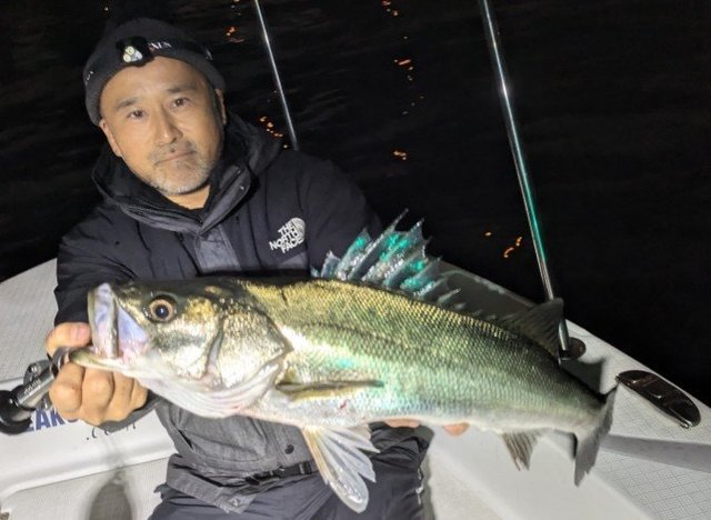 シーバス(スズキ)