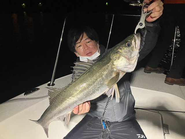 シーバス(スズキ)