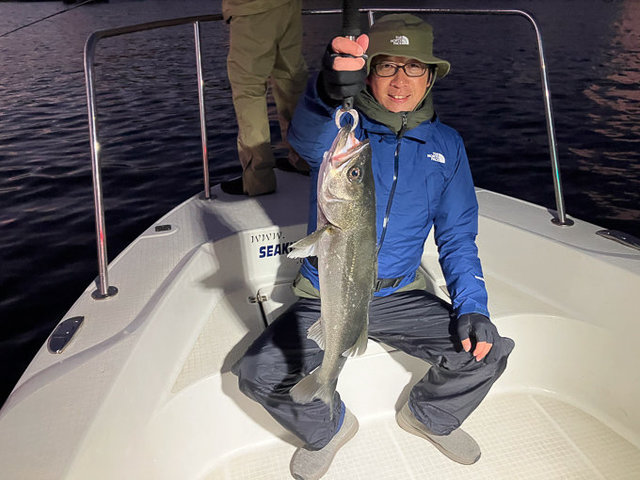 シーバス(スズキ)