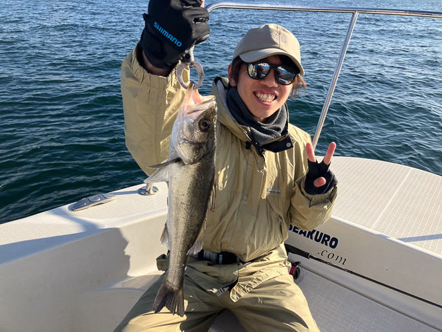 シーバス(スズキ)