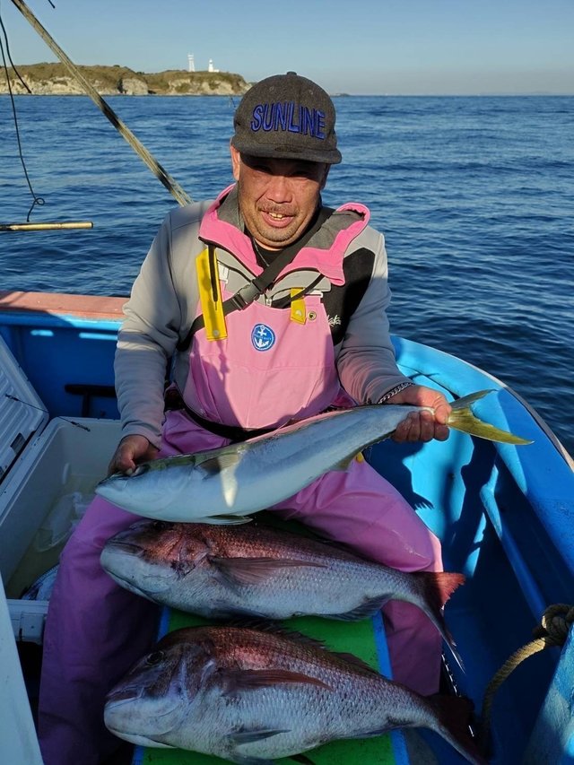 マダイ・ワラサ(ブリ)