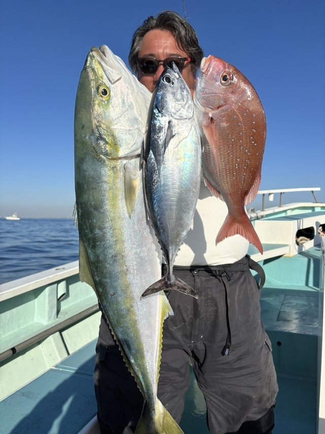 マダイ・ワラサ(ブリ)