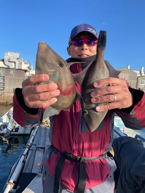 ウマヅラ(ウマヅラハギ)