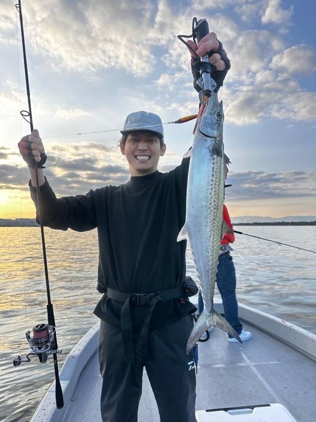 サゴシ(サワラ)