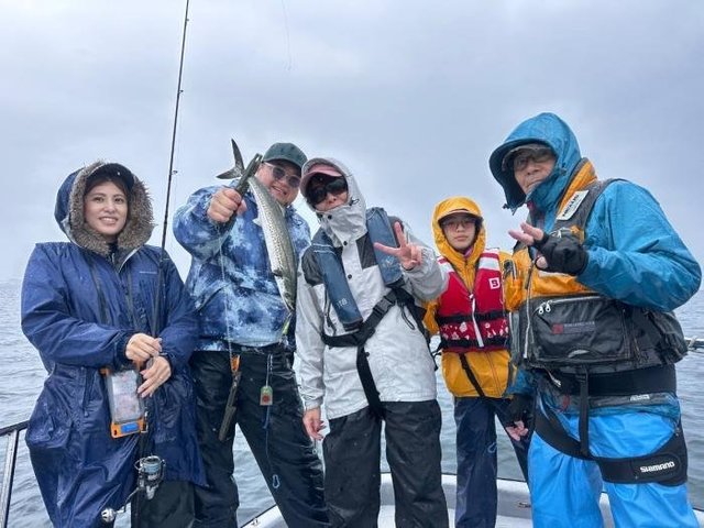 サゴシ(サワラ)