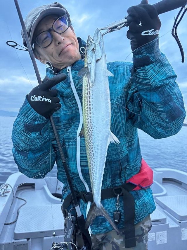 サゴシ(サワラ)