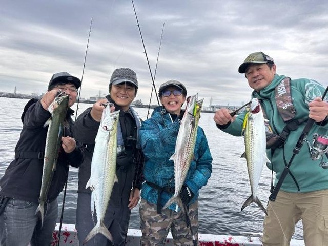 サゴシ(サワラ)