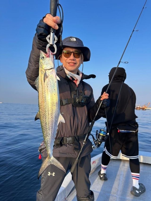 サゴシ(サワラ)