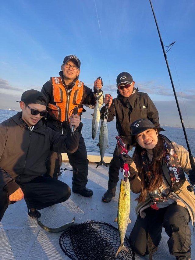 サゴシ(サワラ)