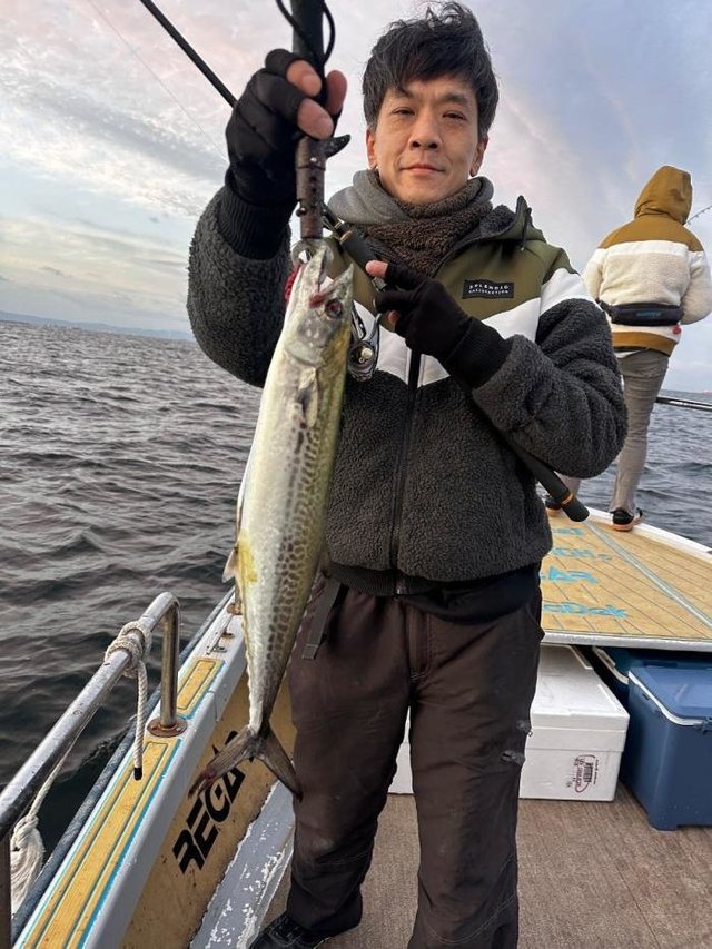 サゴシ(サワラ)