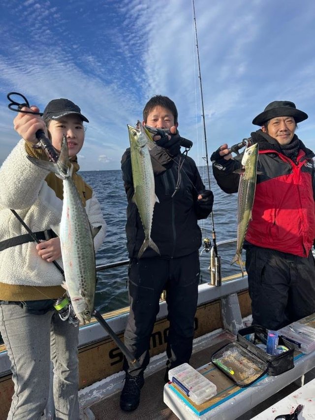 サゴシ(サワラ)