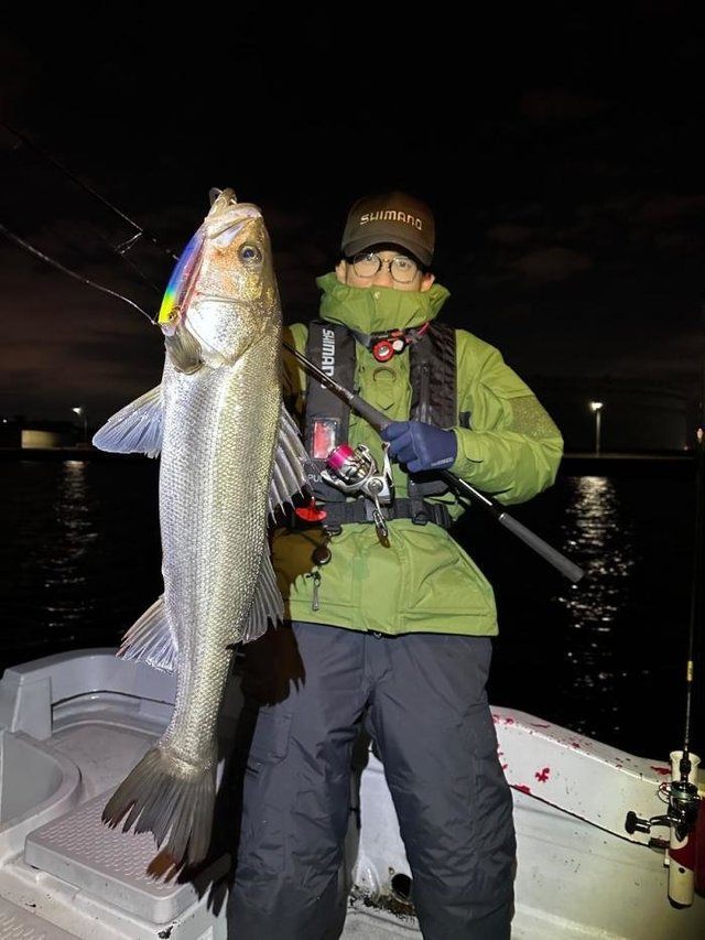 シーバス(スズキ)