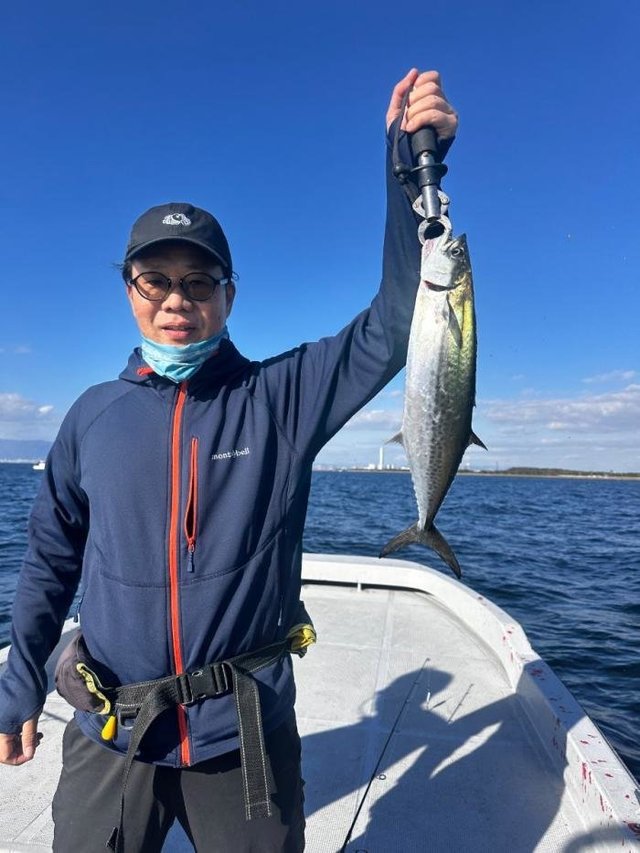 サゴシ(サワラ)